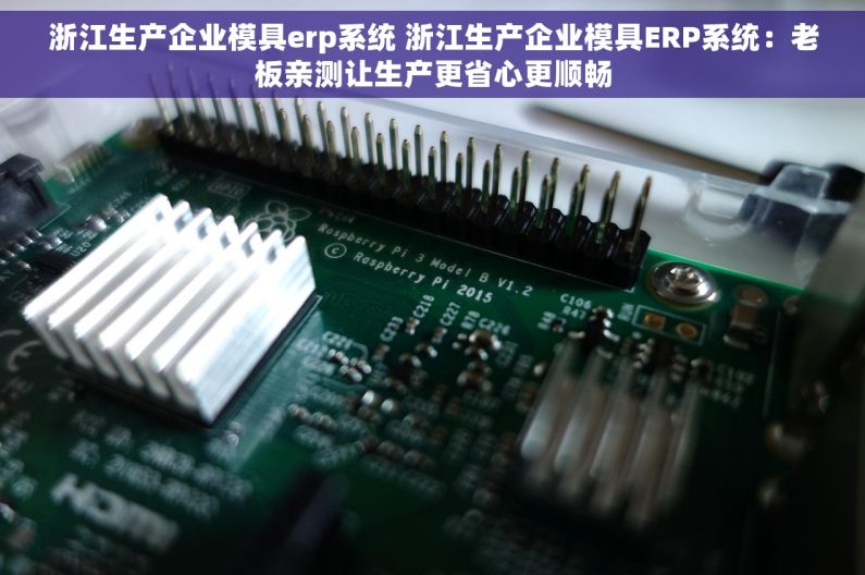 浙江生产企业模具erp系统 浙江生产企业模具ERP系统：老板亲测让生产更省心更顺畅