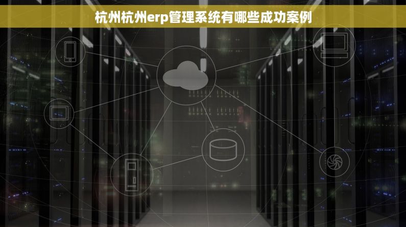 杭州杭州erp管理系统有哪些成功案例