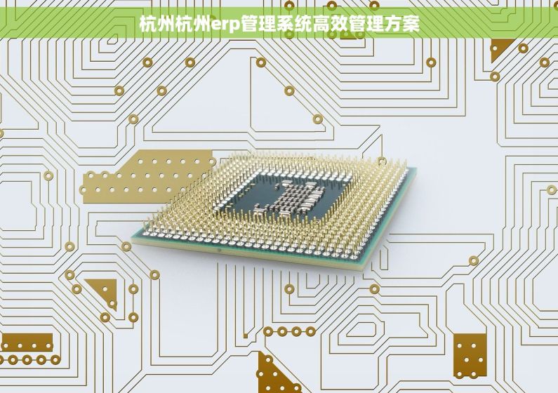 杭州杭州erp管理系统高效管理方案