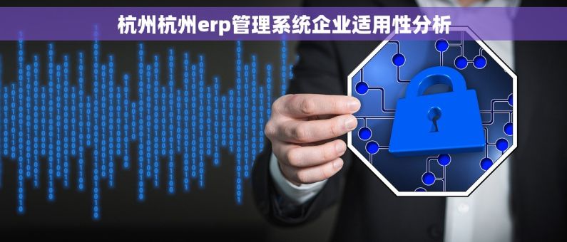 杭州杭州erp管理系统企业适用性分析