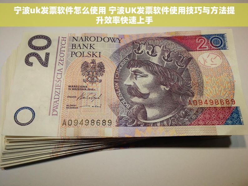 宁波uk发票软件怎么使用 宁波UK发票软件使用技巧与方法提升效率快速上手