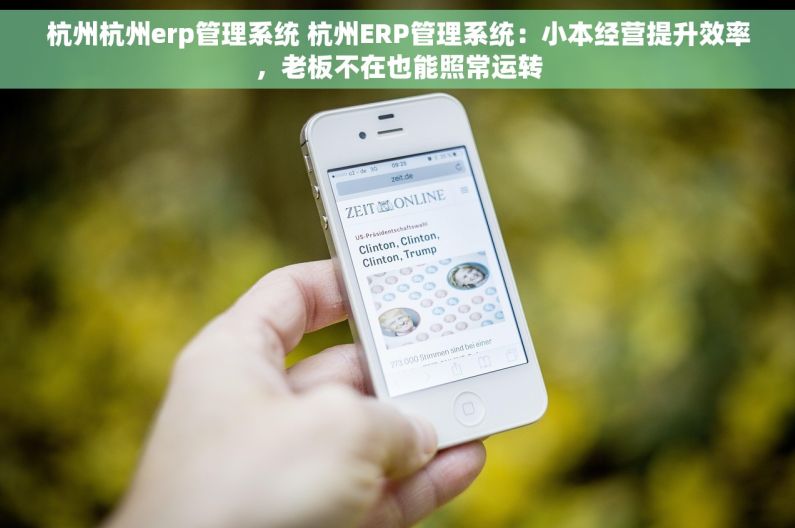 杭州杭州erp管理系统 杭州ERP管理系统：小本经营提升效率，老板不在也能照常运转