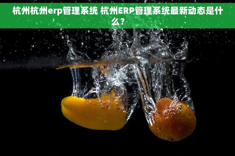 杭州杭州erp管理系统 杭州ERP管理系统最新动态是什么？