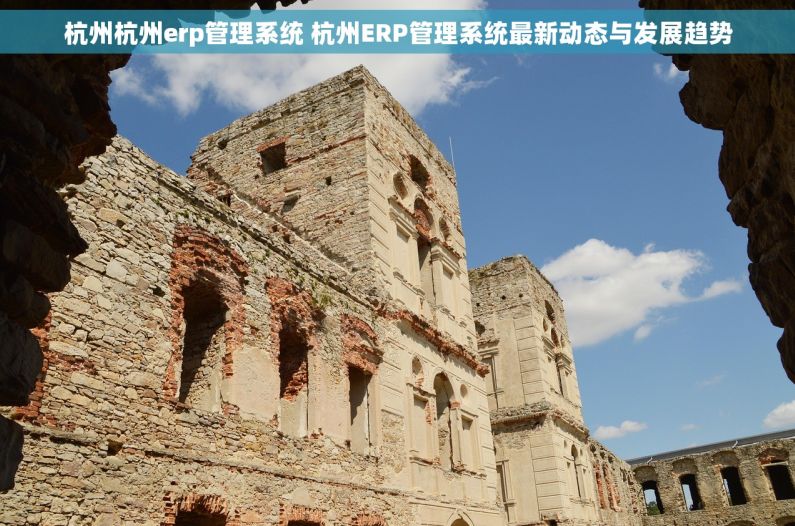 杭州杭州erp管理系统 杭州ERP管理系统最新动态与发展趋势