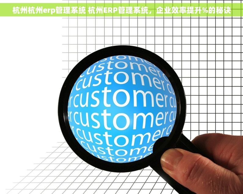杭州杭州erp管理系统 杭州ERP管理系统，企业效率提升%的秘诀