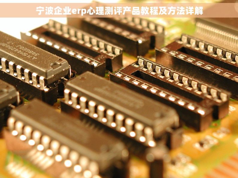 宁波企业erp心理测评产品教程及方法详解
