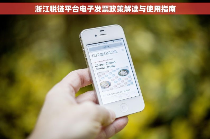 浙江税链平台电子发票政策解读与使用指南