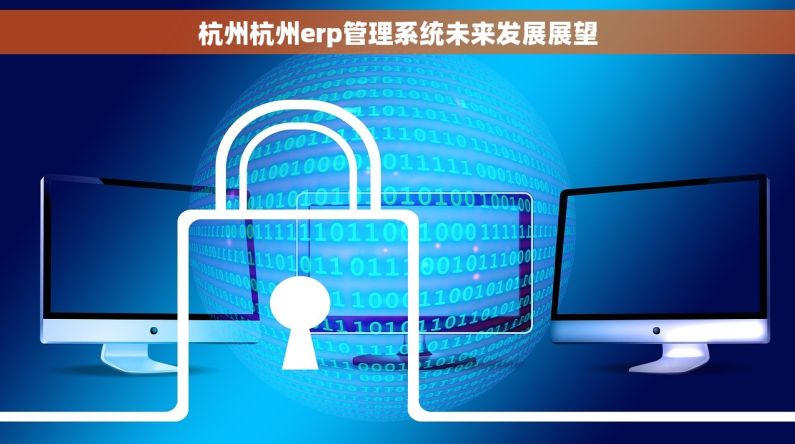 杭州杭州erp管理系统未来发展展望