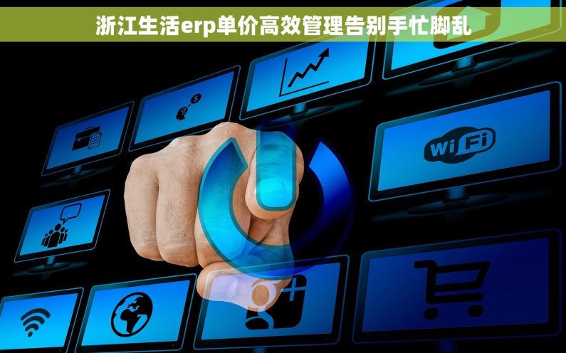 浙江生活erp单价高效管理告别手忙脚乱