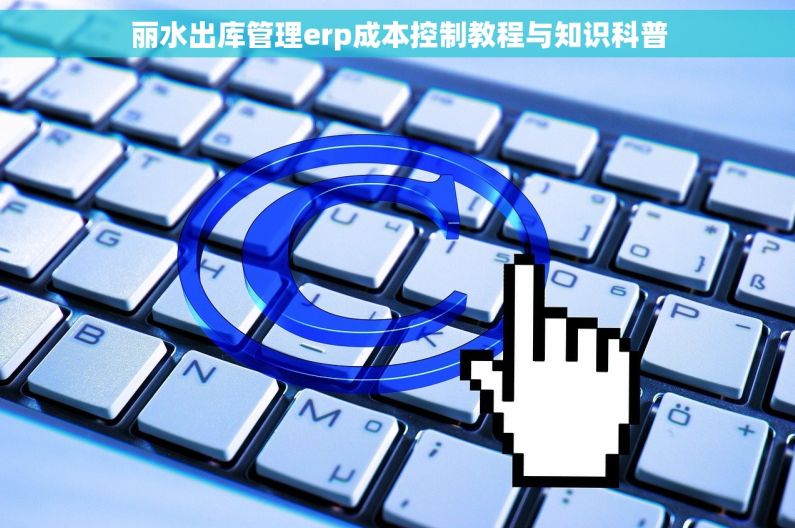 丽水出库管理erp成本控制教程与知识科普