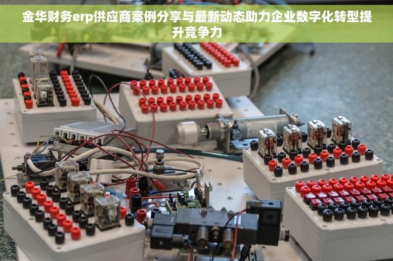 金华财务erp供应商案例分享与最新动态助力企业数字化转型提升竞争力