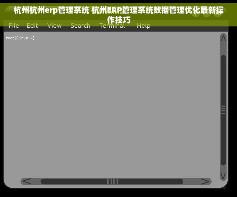 杭州杭州erp管理系统 杭州ERP管理系统数据管理优化最新操作技巧