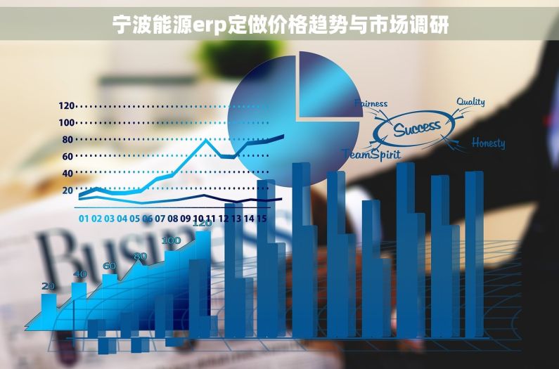 宁波能源erp定做价格趋势与市场调研