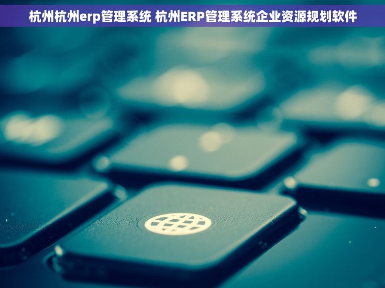 杭州杭州erp管理系统 杭州ERP管理系统企业资源规划软件