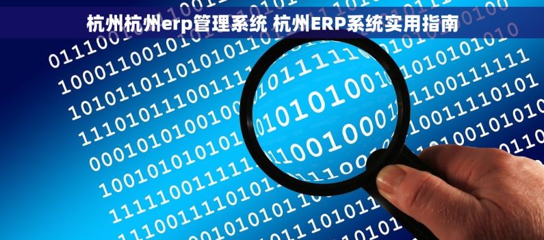 杭州杭州erp管理系统 杭州ERP系统实用指南