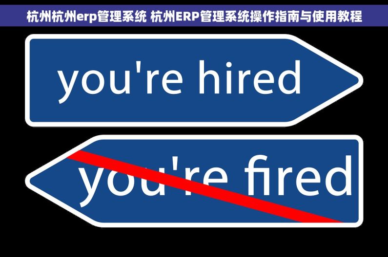杭州杭州erp管理系统 杭州ERP管理系统操作指南与使用教程