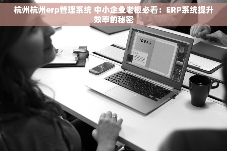 杭州杭州erp管理系统 中小企业老板必看：ERP系统提升效率的秘密