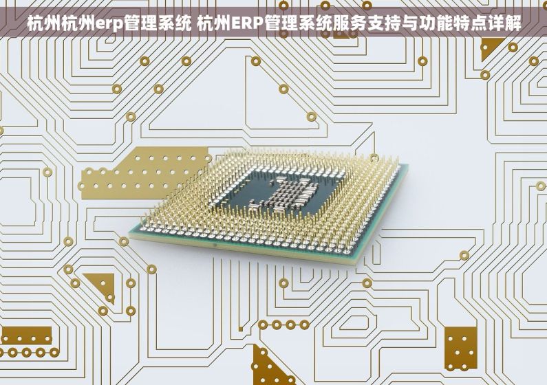 杭州杭州erp管理系统 杭州ERP管理系统服务支持与功能特点详解