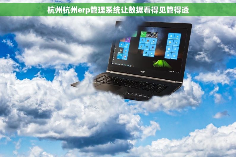 杭州杭州erp管理系统让数据看得见管得透