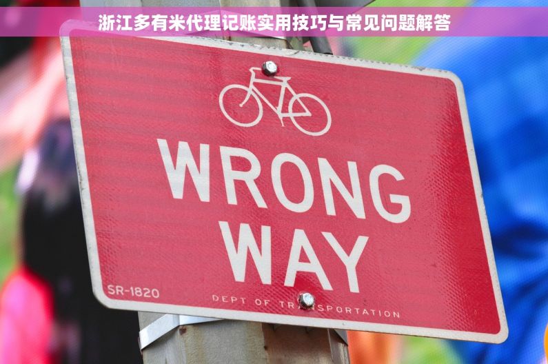 浙江多有米代理记账实用技巧与常见问题解答