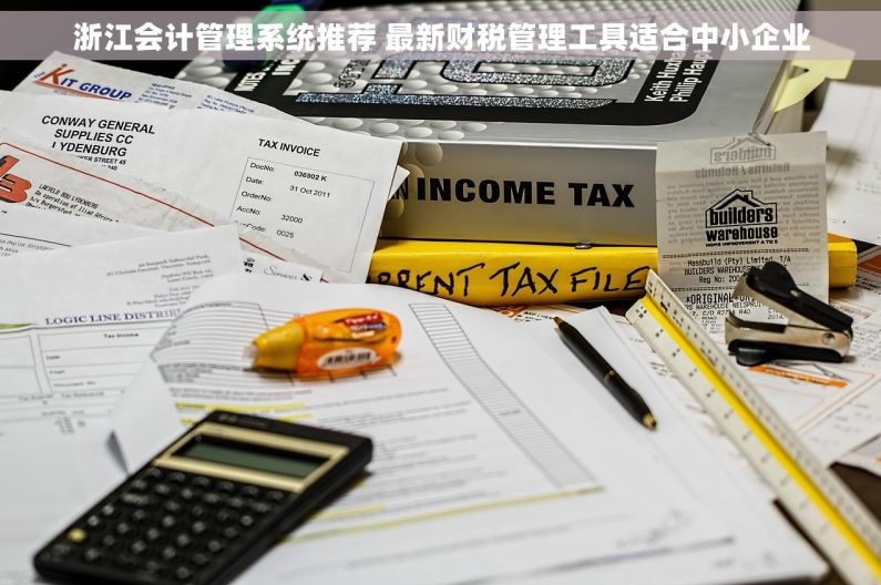 浙江会计管理系统推荐 最新财税管理工具适合中小企业