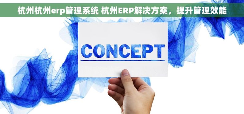 杭州杭州erp管理系统 杭州ERP解决方案，提升管理效能