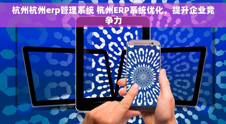 杭州杭州erp管理系统 杭州ERP系统优化，提升企业竞争力