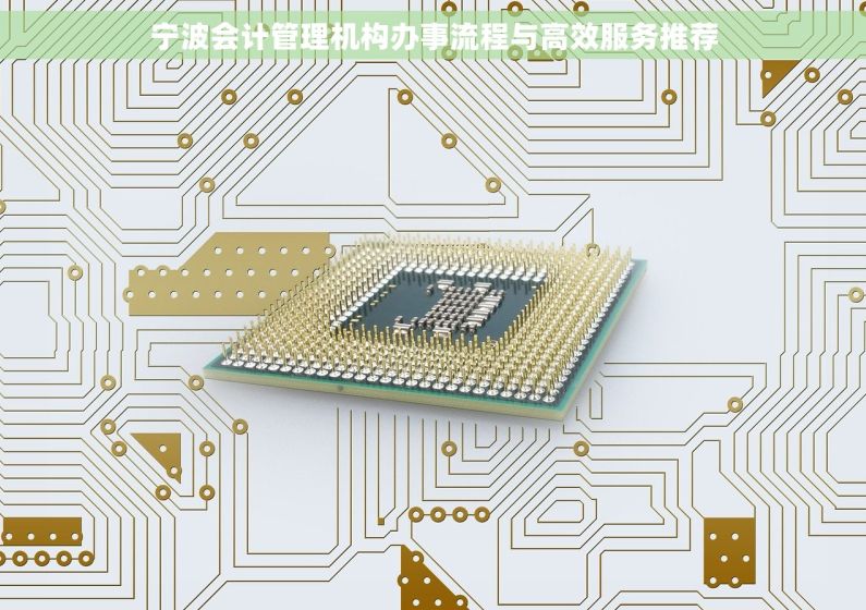 宁波会计管理机构办事流程与高效服务推荐