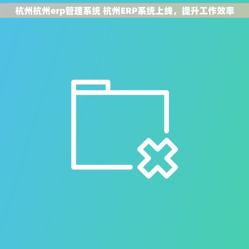 杭州杭州erp管理系统 杭州ERP系统上线，提升工作效率