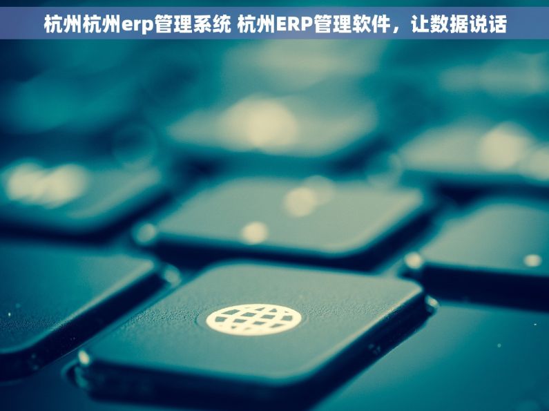 杭州杭州erp管理系统 杭州ERP管理软件，让数据说话