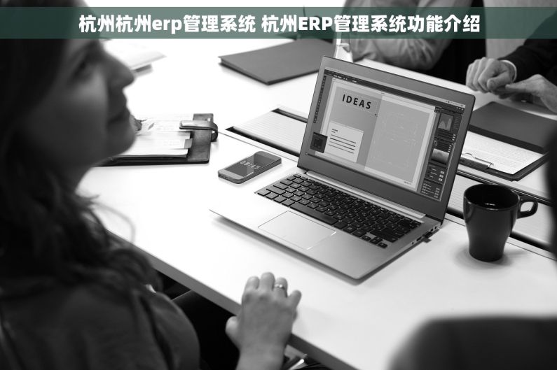 杭州杭州erp管理系统 杭州ERP管理系统功能介绍