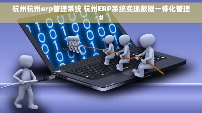 杭州杭州erp管理系统 杭州ERP系统实现数据一体化管理#