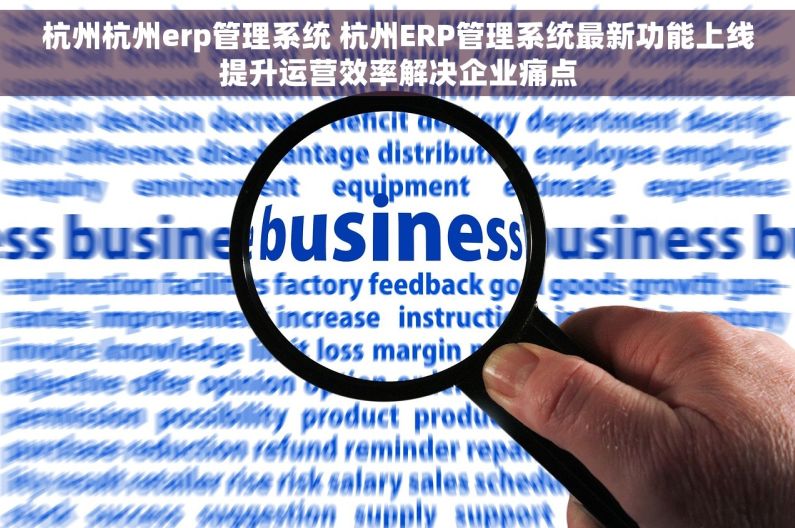 杭州杭州erp管理系统 杭州ERP管理系统最新功能上线提升运营效率解决企业痛点