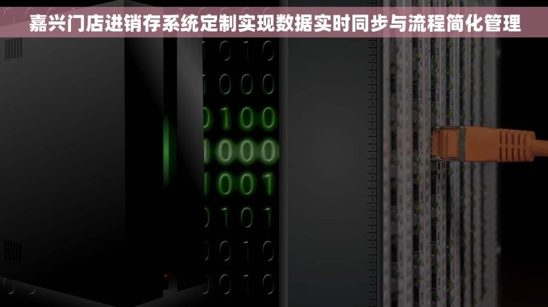 嘉兴门店进销存系统定制实现数据实时同步与流程简化管理