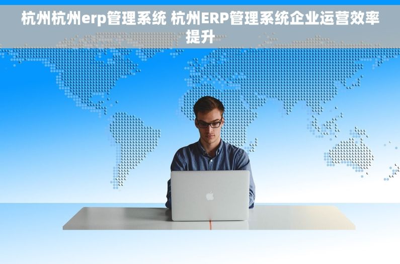 杭州杭州erp管理系统 杭州ERP管理系统企业运营效率提升