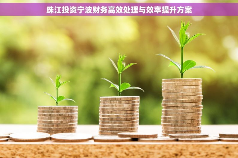 珠江投资宁波财务高效处理与效率提升方案