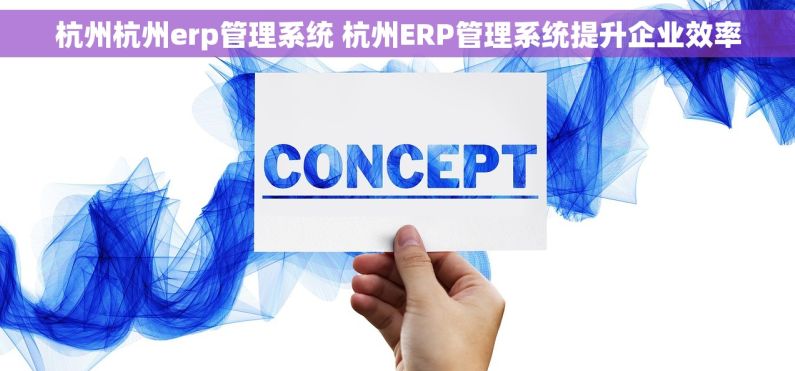 杭州杭州erp管理系统 杭州ERP管理系统提升企业效率