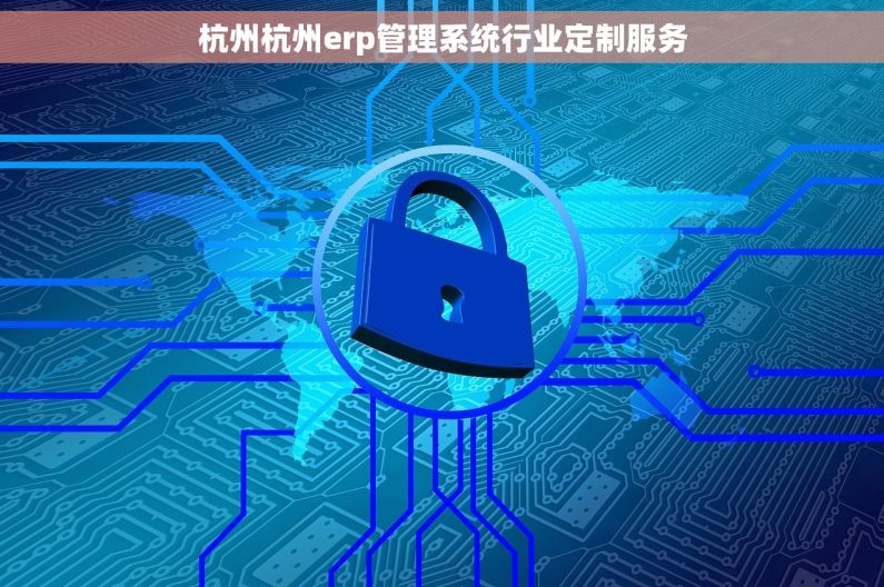 杭州杭州erp管理系统行业定制服务