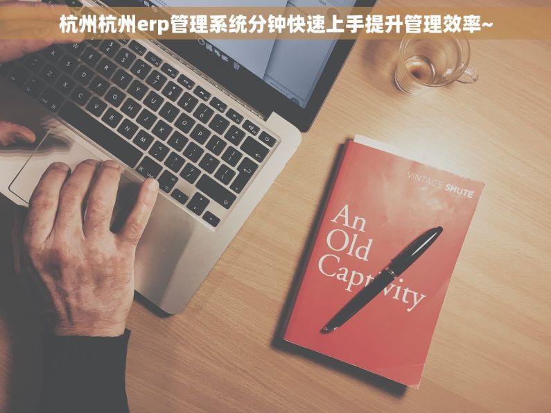 杭州杭州erp管理系统分钟快速上手提升管理效率~