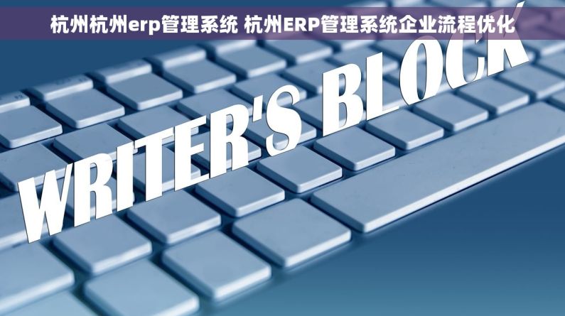 杭州杭州erp管理系统 杭州ERP管理系统企业流程优化