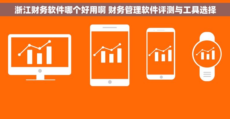 浙江财务软件哪个好用啊 财务管理软件评测与工具选择