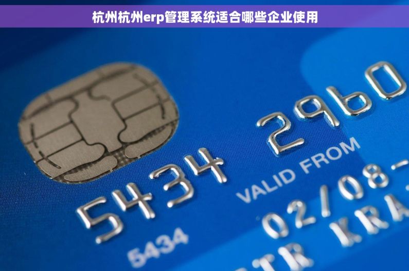 杭州杭州erp管理系统适合哪些企业使用