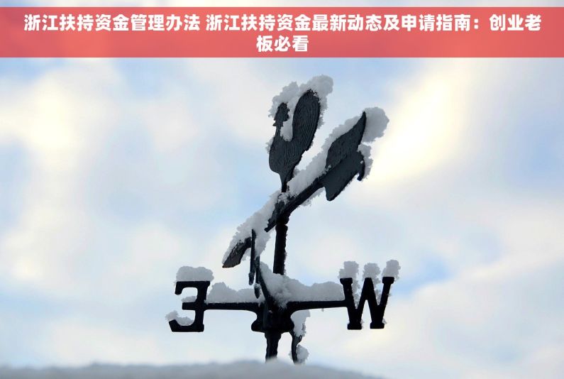 浙江扶持资金管理办法 浙江扶持资金最新动态及申请指南：创业老板必看