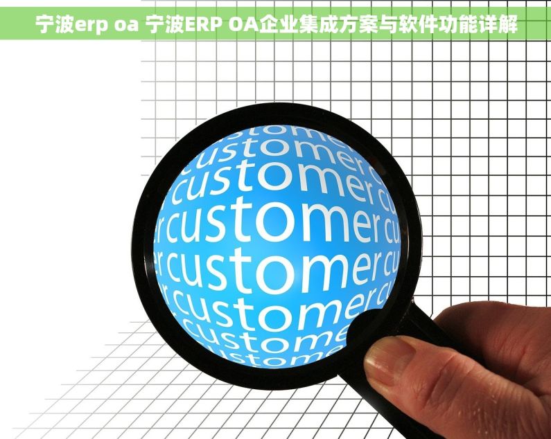 宁波erp oa 宁波ERP OA企业集成方案与软件功能详解