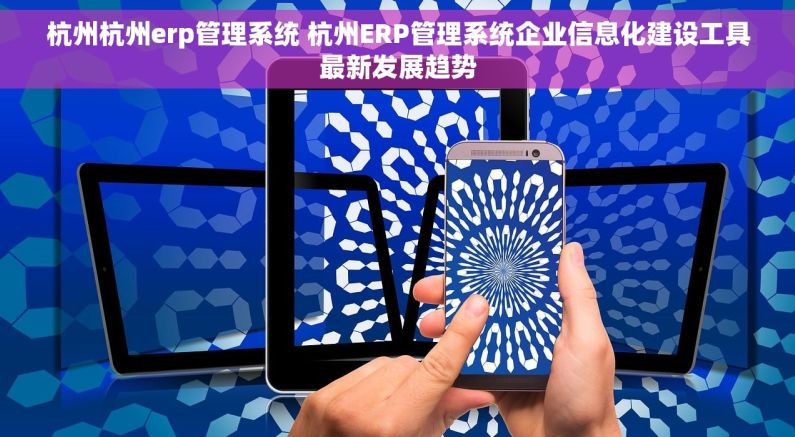 杭州杭州erp管理系统 杭州ERP管理系统企业信息化建设工具最新发展趋势