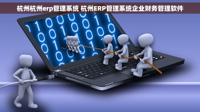 杭州杭州erp管理系统 杭州ERP管理系统企业财务管理软件