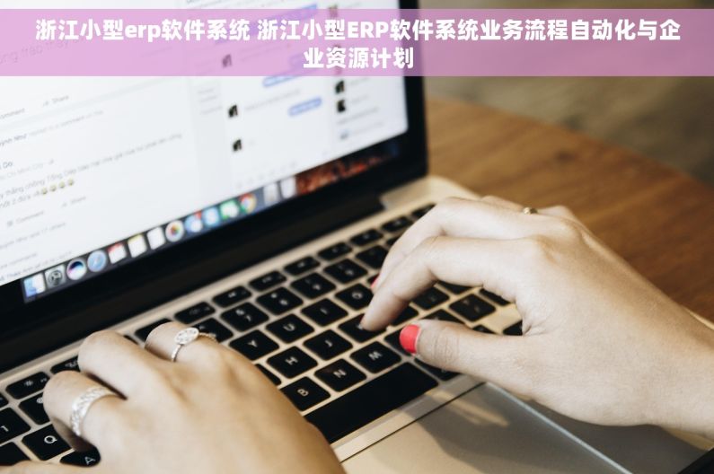浙江小型erp软件系统 浙江小型ERP软件系统业务流程自动化与企业资源计划