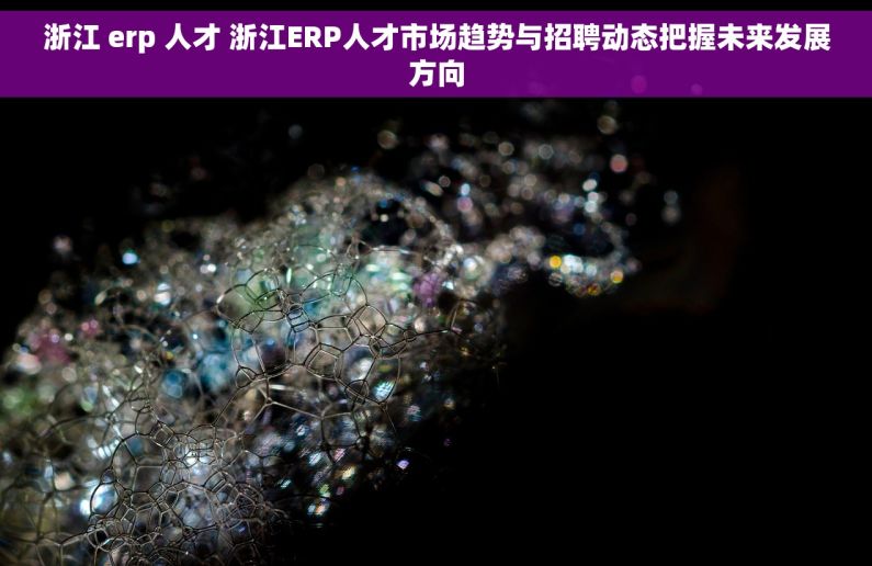 浙江 erp 人才 浙江ERP人才市场趋势与招聘动态把握未来发展方向