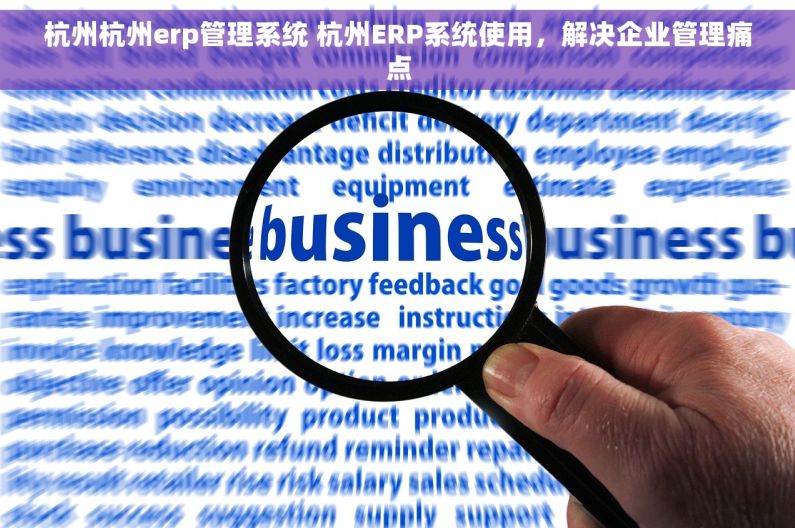 杭州杭州erp管理系统 杭州ERP系统使用，解决企业管理痛点