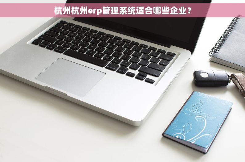 杭州杭州erp管理系统适合哪些企业？